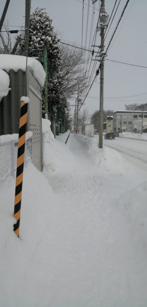 東部小学校の正面玄関へ続く道。積雪によって幅が狭く、倒れる恐れのある電柱等も多くて危険。
